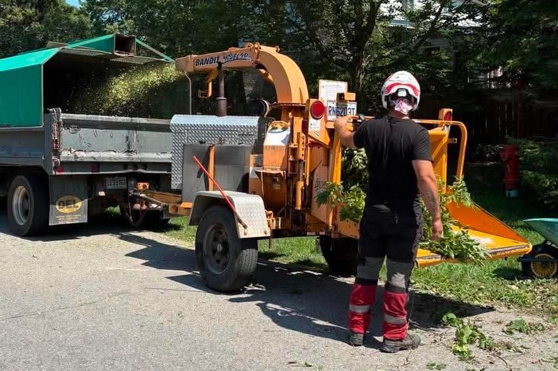Déchiqueteuse d'Émondage AK en marche, les copeaux soufflés dans le camion pendant qu'un membre de l'équipe alimente les branches