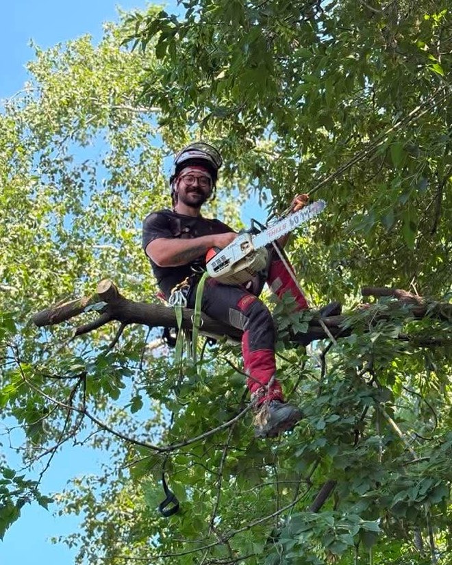 Nicco Angelotti, propriétaire d'Émondage AK, dans la cime d'un arbre avec sa scie